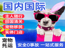 乌鲁木齐地窝堡机场空运国际宠物托运 【国
